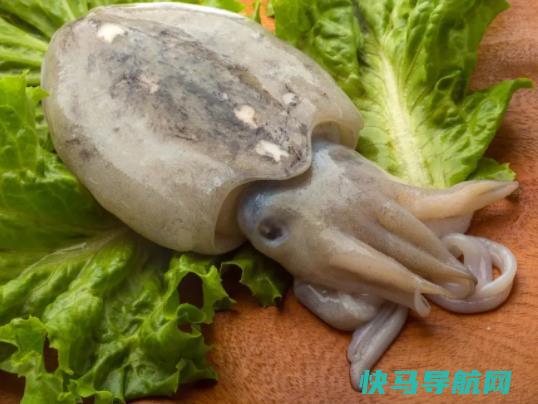 墨鱼干泡发多久比较好？墨鱼干和干的区别