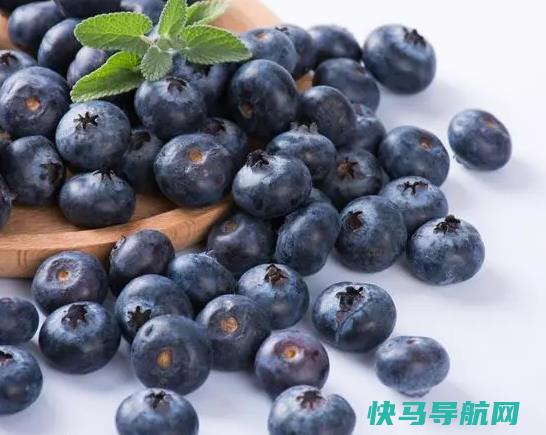 蓝莓18+是大果吗？蓝莓是越大越好吗